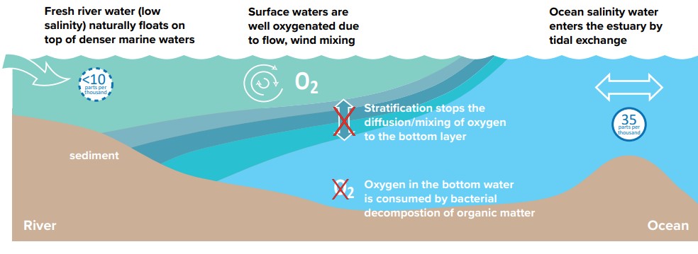 Diagram of how stratification works